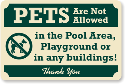 Why are Dogs Not Allowed in Pools? Unveiled Insights