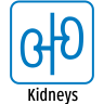 Kidneys