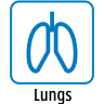 Lungs